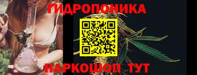 спайс Дубна