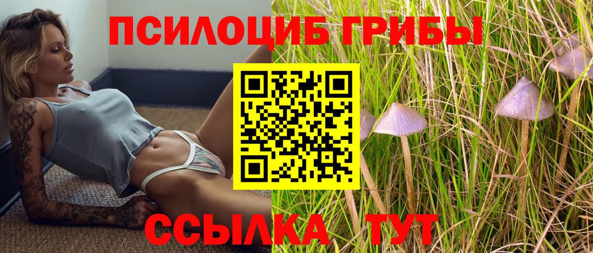 Галлюциногенные грибы Magic Shrooms Майкоп