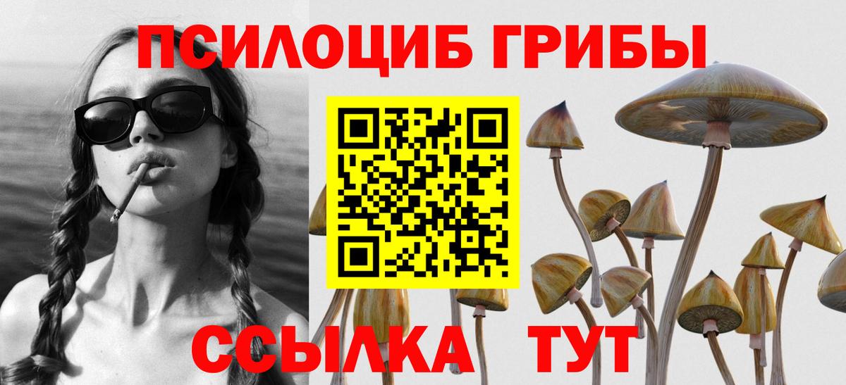 Майкоп  Псилоцибиновые грибы прущие грибы  Вход с VPN 